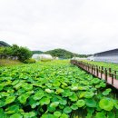 수빈이네 펜션 이미지