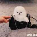 참좋은애견 이미지