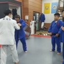 수지유도관 이미지