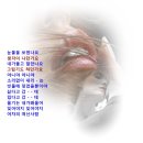 정재은 / 어차피 떠난사람(반주곡) 이미지