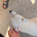 대정호수 | 천안 대형펜션 독채 숙소 추천 바베큐 가능한 스테이대정호수