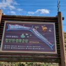 야생화생태학습장