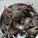 남해카센타 | 2024 마무리 기록
