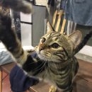 겨울바다 호스텔 이미지