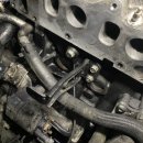 고아카센타 이미지