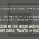 법무법인대구 이미지