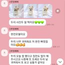 그루밍베베 이미지