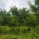 대범농장 이미지