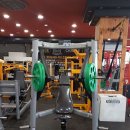 일죽스포렉스 이미지