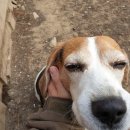 퍼스트초이스 이미지