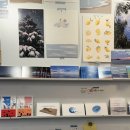 경포생태지 이미지