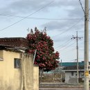 길천산업로 이미지