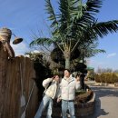 하나스테이 | [경주] 경주한옥스테이 추천 스테이 볕볕 내돈내산 솔직후기 (스테이 볕볕하나)