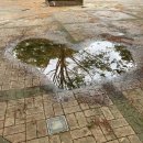 하동포구공원1 이미지