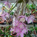 두진(아) 이미지