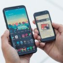 팜 (palm) 이미지