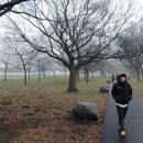 대동향교초등학교 이미지