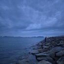 11545-11-24-02 | 새만금 출조 후기 (24/11/02) <풀,우,메>