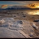 진리의 비상 이미지