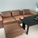 (주)바움디자인 | [신혼집 쇼파 추천]시스디자인 판교 쇼룸 방문 천연가죽 모듈쇼파 구매까지