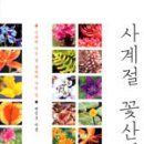 사계절꽃 - 서구 가정로 323 | 사계절꽃