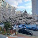 삼호가든상가 이미지