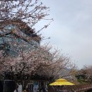 김해사랑주유소 이미지
