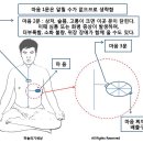 하늘의기세상