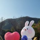 토이캐슬 이미지