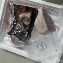 박스에프엔비 네이버블로그
