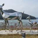 매동마을 회관 이미지