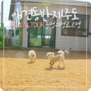놀멍쉬멍고르멍 네이버블로그