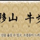 빛나는열매 이미지