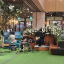 (주)타임파크 | 강서웨딩홀 서울 밝은홀 가든홀 보타닉파크웨딩 2026 하반기 잔여타임 견적공유