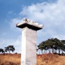 김징선생 신도비 | 조선 문신 김구(金構)