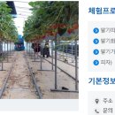 용한농장 이미지