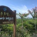 명지농장 이미지