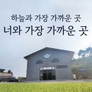 주식회사 패투헤븐 | 여주 강아지 장례식장 비용 및 납골당 이용 방법, 패투헤븐 안내
