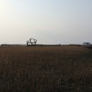 사하구-03 이미지