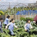 미라클유치원 이미지