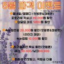논현1-102 | 논현역 원스뷰티룸 속눈썹펌 시술, 오래가는 노 글루 펌 후기! 잘하는 곳 추천!