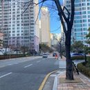 사직북로 이미지