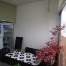 수피자 내수점 이미지