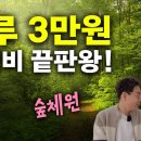 값싸고 좋은곳 없을까? [횡성 숲체원]으로 가세요 / 공빠TV 이미지