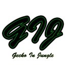 정글스토어 이미지