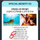 돈돈팜스 | 하나투어 패키지 보홀여행 / 돌핀베이리조트