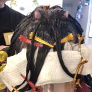민헤어(Min hair) 네이버블로그