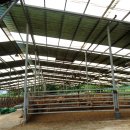 안골축사 이미지