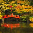 놀이터 존 이미지