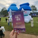 옐로우스타디움 빗물이용시설 | 꽃길 따라 힐링 산책 제대로 했던 날, 장성 황룡강 &#34;가을꽃축제&#34; 후기